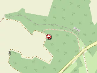 Carte de Gaillard Stéphane à Pizay