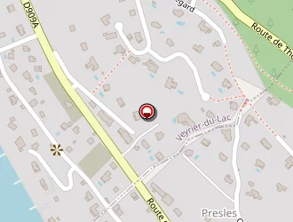 Carte de Vision Luxe à Veyrier-du-lac