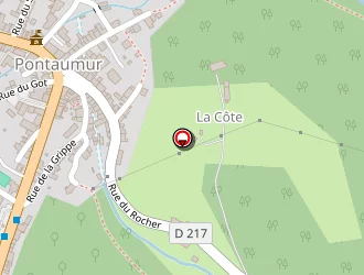 Carte de Chassaing Thierry à Pontaumur