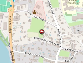 Carte de Araud Renaud à Fleurieu-sur-saône