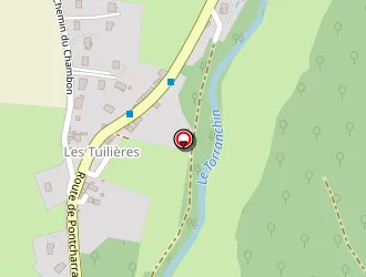 Carte de Gomila Eric à Saint-forgeux