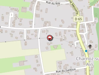 Carte de Gudet Olivier à Charnoz-sur-ain