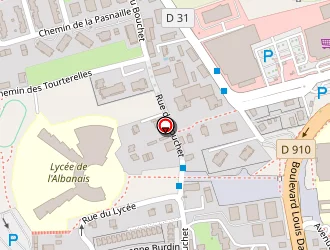 Carte de Piron Guillaume à Rumilly