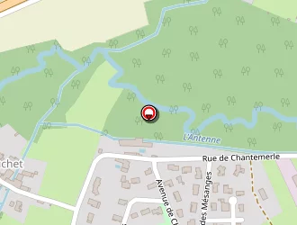 Carte de Charriot Thierry à Matha