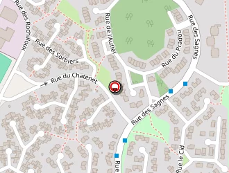 Carte de Njili Rafik à Limoges