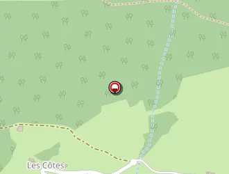 Carte de Minnion Carol à Manigod