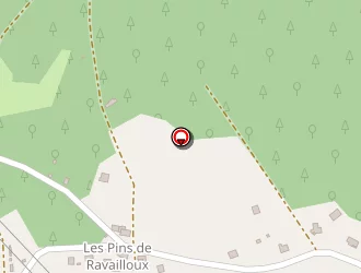 Carte de Dujoux Sylvia à Thiers