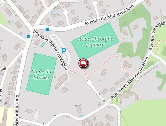 Carte de Doussaud Daniel à Palais-sur-vienne (le)