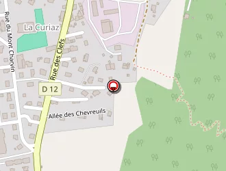 Carte de Bellini Michel à Thônes