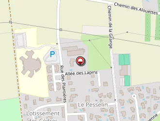 Carte de Rajas Didier à Chasselay