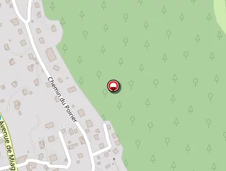 Carte de Nicoud Benoit à Saint-gervais-les-bains