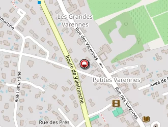 Carte de Association Les Dauphins à Chazay-d'azergues