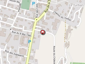 Carte de Josserand Richard à Thônes