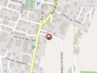 Carte de Thones Basket à Thônes