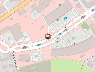 Carte de La Foir'fouille à Seynod