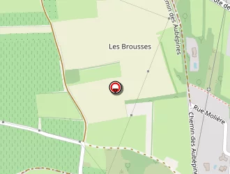 Carte de Id Thermique à Chazay-d'azergues