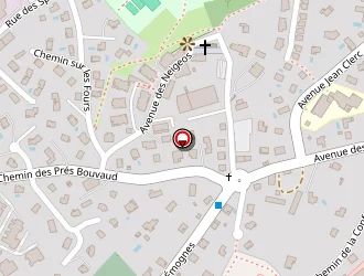 Carte de Altess Hôtel à Seynod