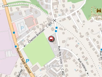 Carte de Chezeaubernard Guy à Neuville-sur-saône