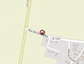 Carte de Caille Christian à Aumagne