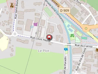 Carte de Buffet Michelle à Thônes