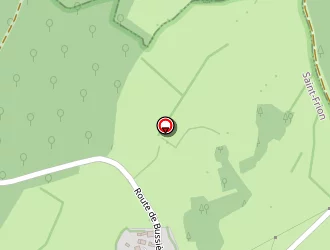 Carte de Criniere Vincent à Saint-frion