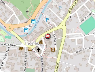 Carte de Damien Taxi à Thônes