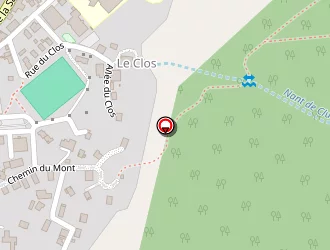 Carte de Angelloz Nicoud Daniel à Thônes