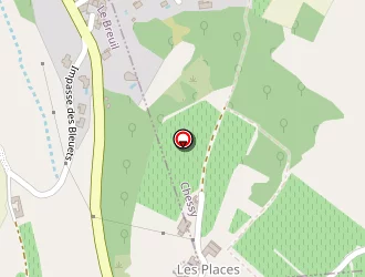 Carte de Perche Patrick à Breuil (le)