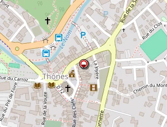 Carte de Thônes Optique à Thônes