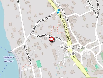 Carte de Allô Services à Veyrier-du-lac