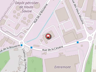 Carte de Alloin Transports à Annecy