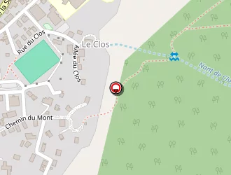 Carte de Thones Taxi à Thônes