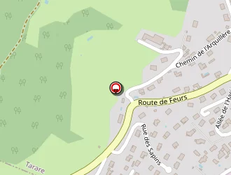 Carte de Dlm Maconnerie à Tarare