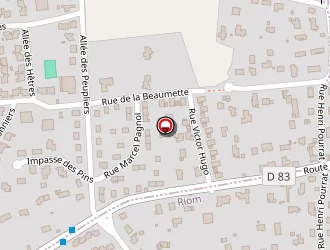 Carte de Boissier Nicolas à Mozac