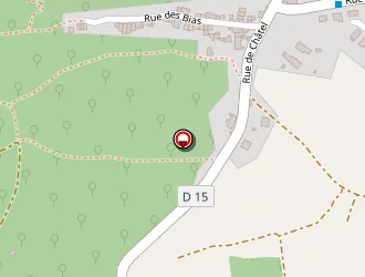 Carte de Tonnellier Thierry à Volvic