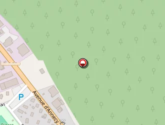 Carte de Ozturk Suleyman à Thônes