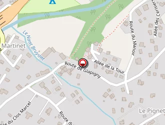 Carte de Zone D'impression à Thônes