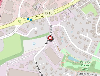 Carte de Complexe Sportif Max Decarre à Seynod