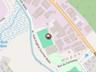 Carte de Taxi Faure à Thônes