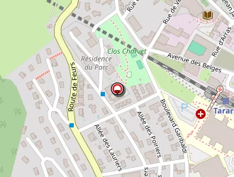 Carte de Arames à Tarare