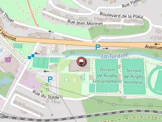 Carte de Elf à Tarare