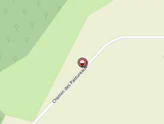 Carte de E.m Automatisme à Nieuil