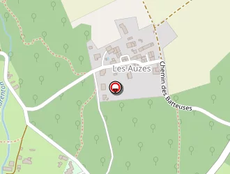 Carte de Brisson Patrick à Saint-savinien