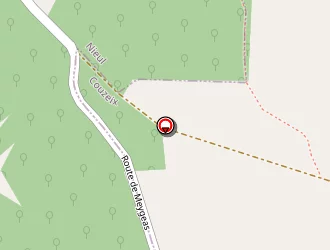 Carte de Cousty Bernard à Couzeix