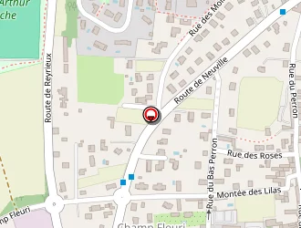 Carte de Pizza Du Cèdre à Genay