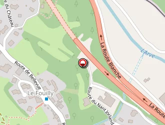 Carte de Slalom à Houches (les)