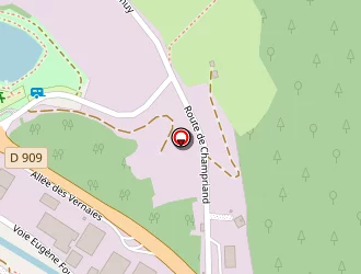 Carte de Collomb Fleurs à Thônes