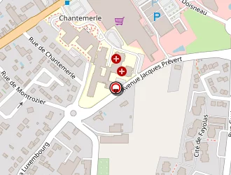 Carte de Ecole Chantemerle Primaire à Saint-junien