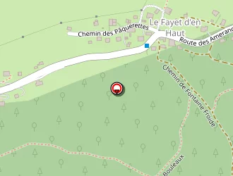 Carte de Dechaumes Audrey à Saint-gervais-les-bains