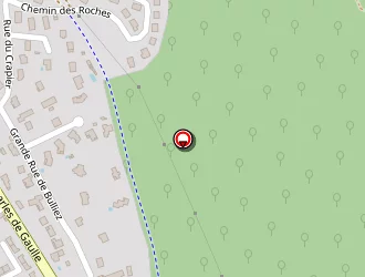 Carte de Chausson Philippe à Lagnieu